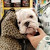 Belugesh Mosha — Google reviewer at M. STUDIO NYC