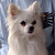 Daniela McNamara — Google reviewer at M. STUDIO NYC