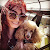 Jessica McGinty — Google reviewer at M. STUDIO NYC