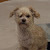 Lyn — Google reviewer at M. STUDIO NYC
