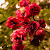 Young Soon De Souza. — Google reviewer at M. STUDIO NYC