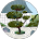 Aigul Inerbayeva — Google reviewer at M. STUDIO NYC